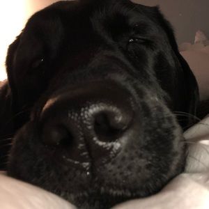 Meet your Posher, Isabella